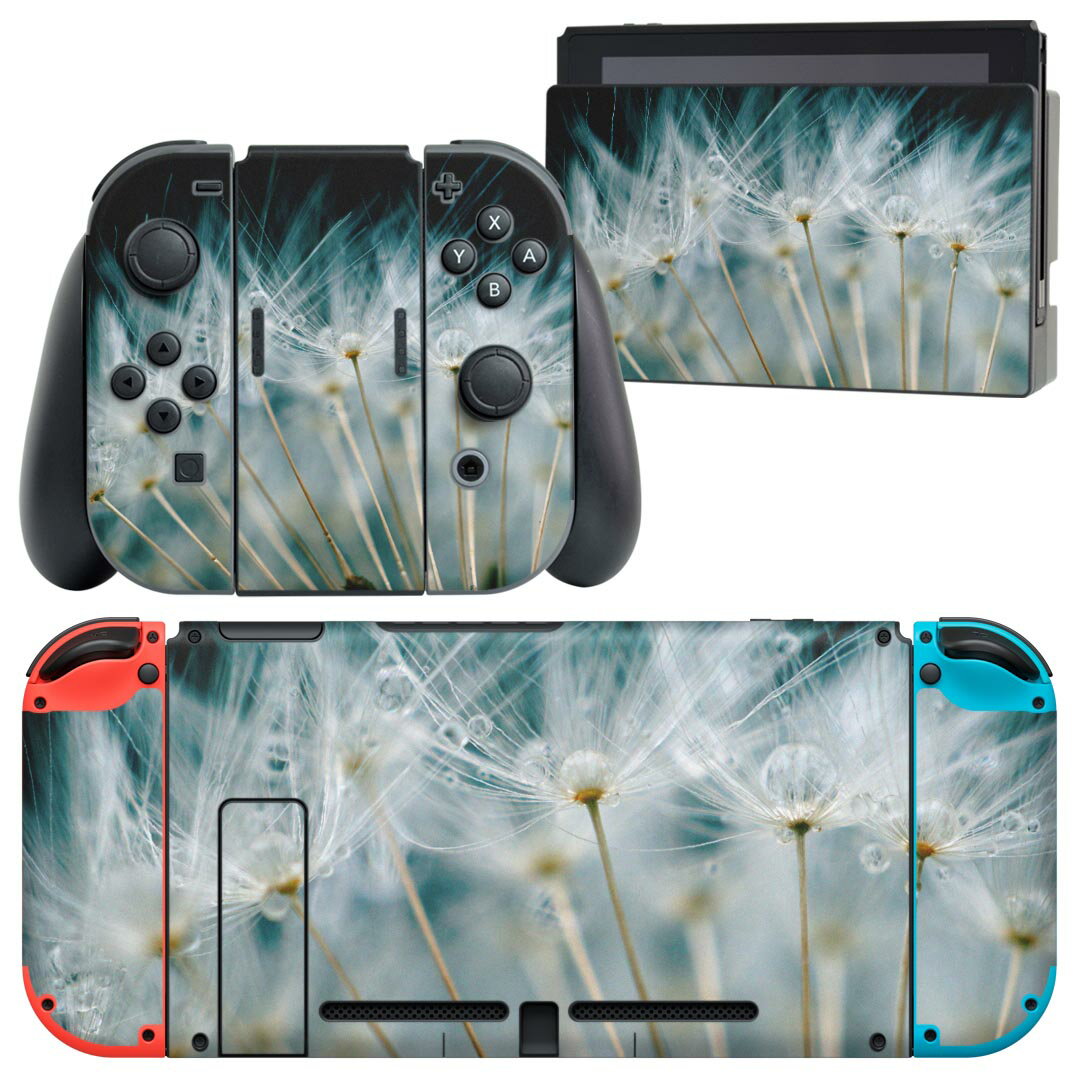 igsticker Nintendo Switch 用 デザインスキンシール 任天堂 ニンテンドー スイッチ 専用 本体ドック Joy-Con Joycon ジョイコン 専用 ゲーム機 カバー アクセサリー フィルム ステッカー 023193 たんぽぽ 綿毛 写真