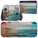 igsticker Nintendo Switch 用 デザインスキンシール 任天堂 ニンテンドー スイッチ 専用 本体ドック Joy-Con Joycon ジョイコン 専用 ゲーム機 カバー アクセサリー フィルム ステッカー 023198 海 景色 写真(2)