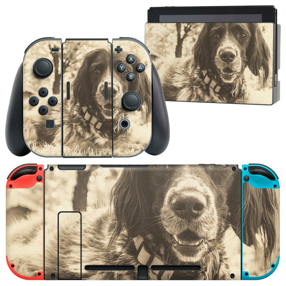 igsticker Nintendo Switch 用 デザインスキンシール 任天堂 ニンテンドー スイッチ 専用 本体ドック Joy-Con Joycon ジョイコン 専用 ゲーム機 カバー アクセサリー フィルム ステッカー 023215 犬　セピア　動物