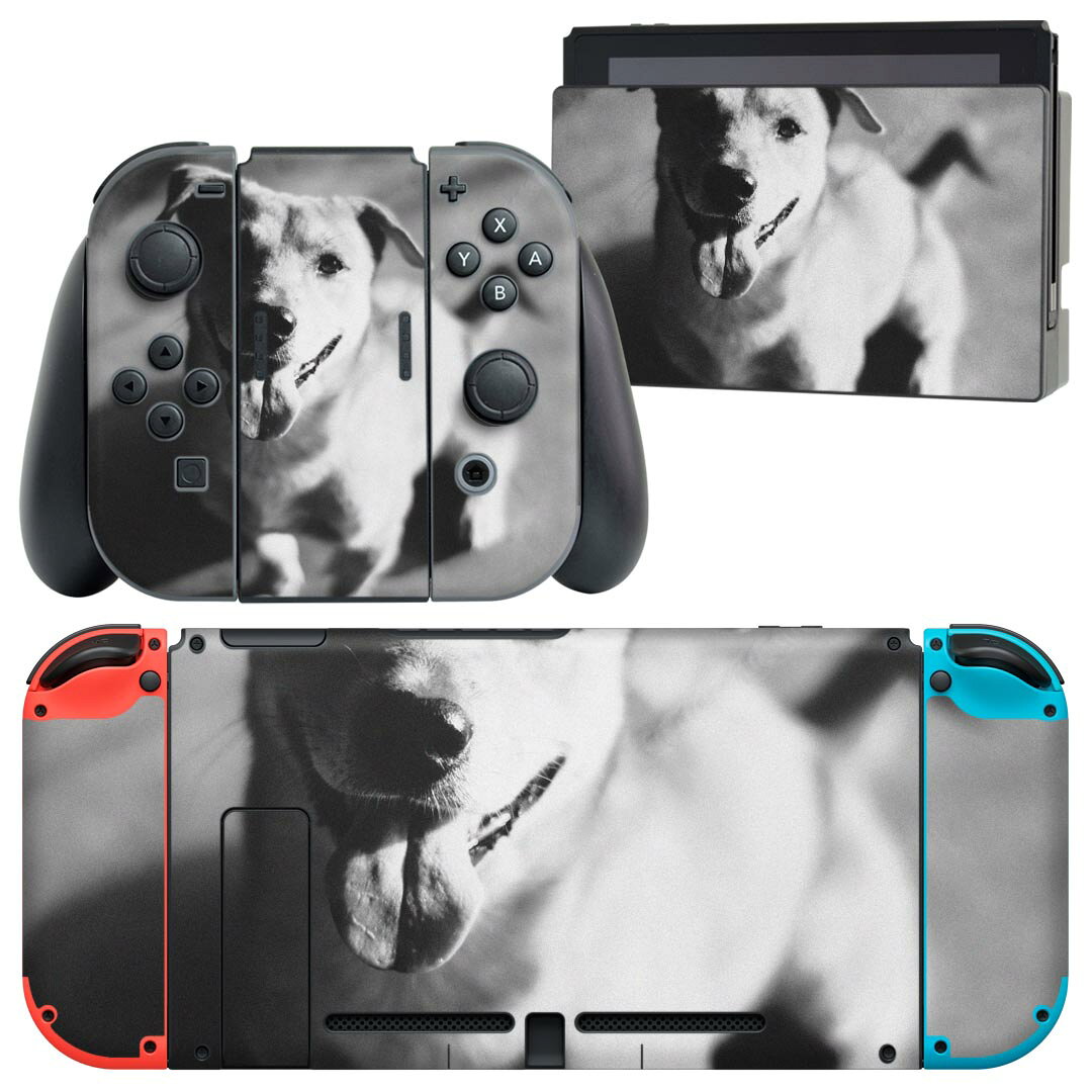 igsticker Nintendo Switch 用 デザインスキンシール 任天堂 ニンテンドー スイッチ 専用 本体ドック Joy-Con Joycon ジョイコン 専用 ゲーム機 カバー アクセサリー フィルム ステッカー 023224 犬 モノクロ 写真