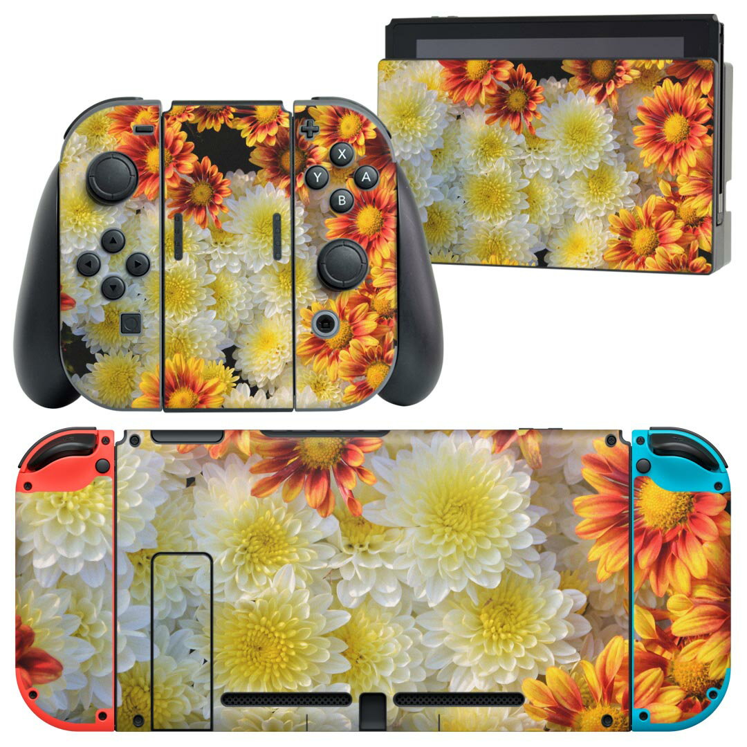 igsticker Nintendo Switch 用 デザインスキンシール 任天堂 ニンテンドー スイッチ 専用 本体ドック Joy-Con Joycon ジョイコン 専用 ゲーム機 カバー アクセサリー フィルム ステッカー 023306 花　フラワー　写真