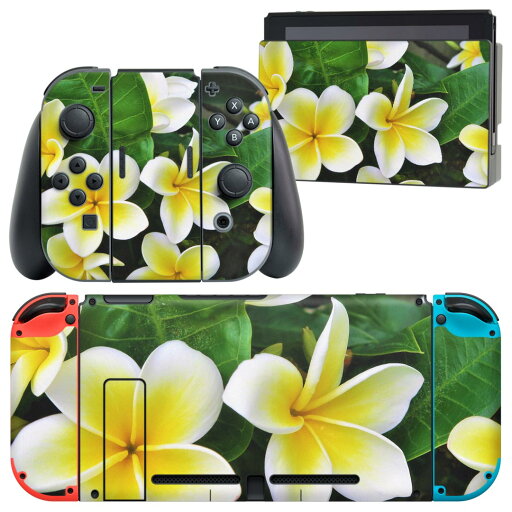 igsticker Nintendo Switch 用 デザインスキンシール 任天堂 ニンテンドー スイッチ 専用 本体ドック Joy-Con Joycon ジョイコン 専用 ゲーム機 カバー アクセサリー フィルム ステッカー 023320 花 フラワー プルメリア igsticker Nintendo Switch 用 デザインスキンシール 任天堂 ニンテンドー スイッチ 専用 本体ドック Joy-Con Joycon ジョイコン 専用 ゲーム機 カバー アクセサリー フィルム ステッカー 023320 花 フラワー プルメリア