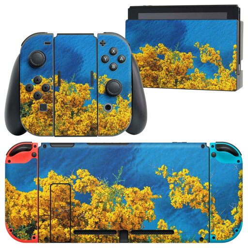 igsticker Nintendo Switch 用 デザインスキンシール 任天堂 ニンテンドー スイッチ 専用 本体ドック Joy-Con Joycon ジョイコン 専用 ゲーム機 カバー アクセサリー フィルム ステッカー 023354 花 フラワー 海 igsticker Nintendo Switch 用 デザインスキンシール 任天堂 ニンテンドー スイッチ 専用 本体ドック Joy-Con Joycon ジョイコン 専用 ゲーム機 カバー アクセサリー フィルム ステッカー 023354 花 フラワー 海