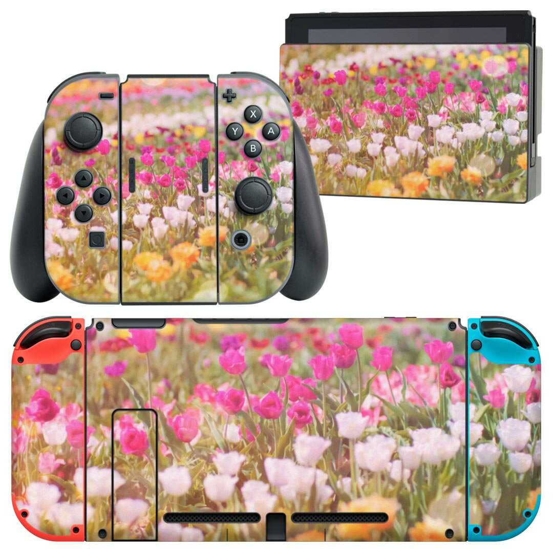 igsticker Nintendo Switch 用 デザインスキンシール 任天堂 ニンテンドー スイッチ 専用 本体ドック Joy-Con Joycon ジョイコン 専用 ゲーム機 カバー アクセサリー フィルム ステッカー 023364 花 フラワー 景色 写真