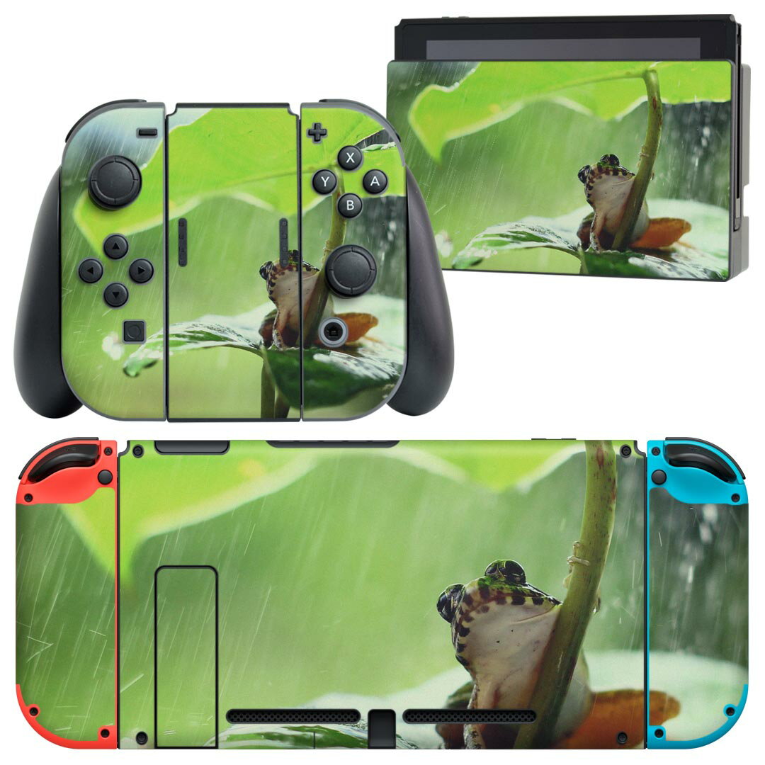 igsticker Nintendo Switch 用 デザインスキンシール 任天堂 ニンテンドー スイッチ 専用 本体ドック Joy-Con Joycon ジョイコン 専用 ゲーム機 カバー アクセサリー フィルム ステッカー 023378 カエル 生き物 雨