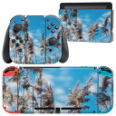igsticker Nintendo Switch 用 デザインスキンシール 任天堂 ニンテンドー スイッチ 専用 本体ドック Joy-Con Joycon ジョイコン 専用 ゲーム機 カバー アクセサリー フィルム ステッカー 023406 写真 景色 パンパスグラス(2)