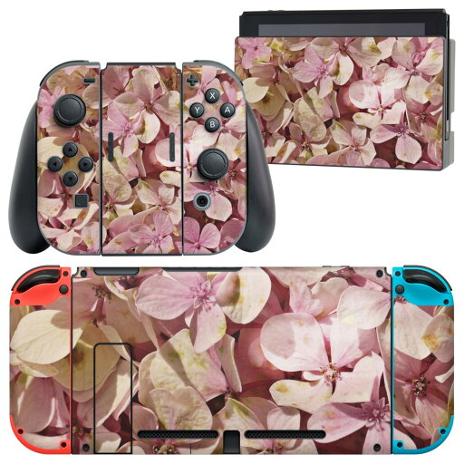 igsticker Nintendo Switch 用 デザインスキンシール 任天堂 ニンテンドー スイッチ 専用 本体ドック Joy-Con Joycon ジョイコン 専用 ゲーム機 カバー アクセサリー フィルム ステッカー 023451 花 フラワー 写真 igsticker Nintendo Switch 用 デザインスキンシール 任天堂 ニンテンドー スイッチ 専用 本体ドック Joy-Con Joycon ジョイコン 専用 ゲーム機 カバー アクセサリー フィルム ステッカー 023451 花 フラワー 写真