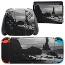 igsticker Nintendo Switch 用 デザインスキンシール 任天堂 ニンテンドー スイッチ 専用 本体ドック Joy-Con Joycon ジョイコン 専用 ゲーム機 カバー アクセサリー フィルム ステッカー 023459 海 モノクロ(2)
