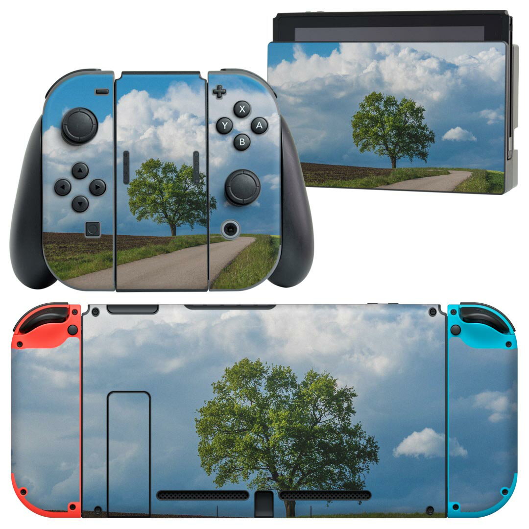 igsticker Nintendo Switch 用 デザインスキンシール 任天堂 ニンテンドー スイッチ 専用 本体ドック Joy-Con Joycon ジョイコン 専用 ゲーム機 カバー アクセサリー フィルム ステッカー 023492 景色 自然 写真