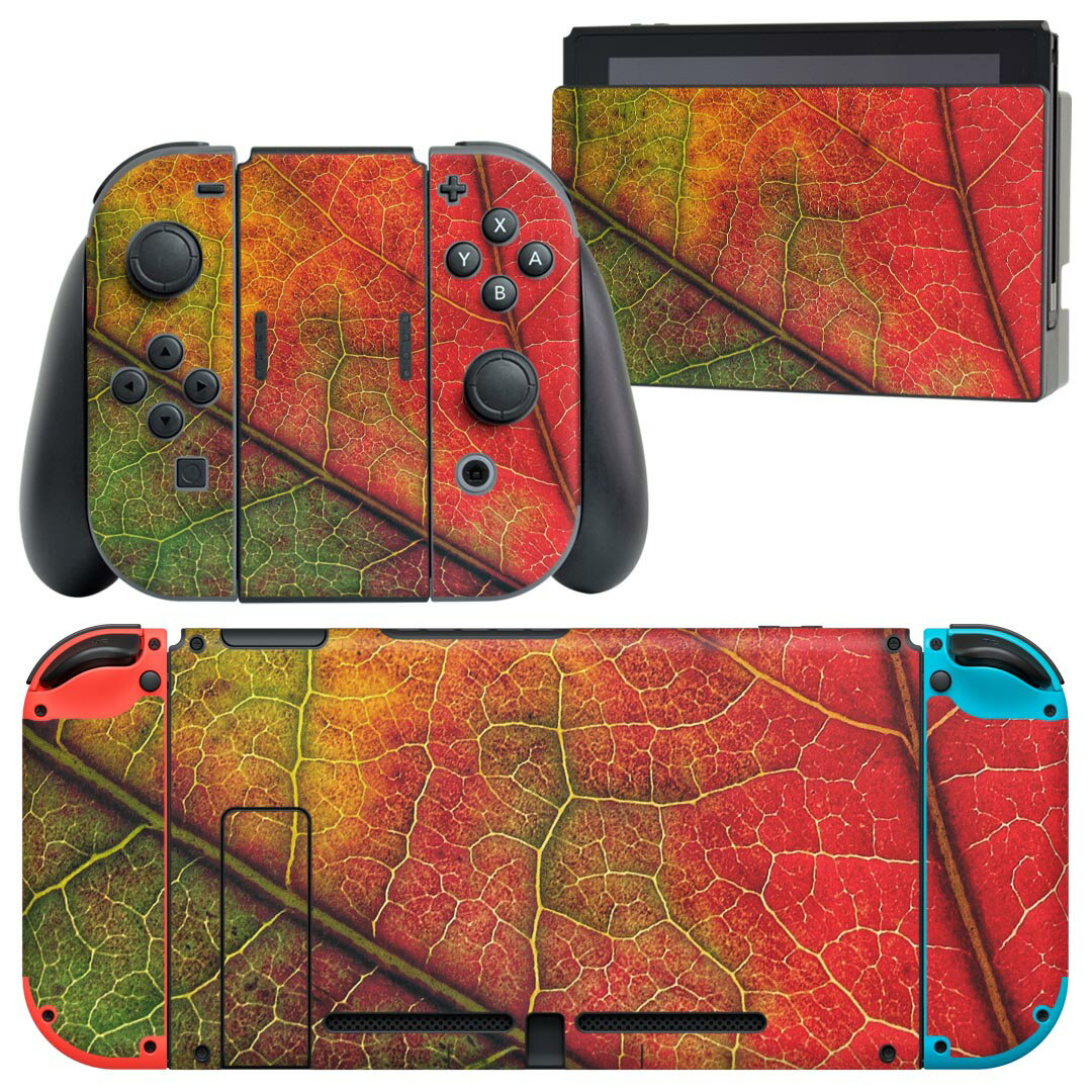 igsticker Nintendo Switch 用 デザインスキンシール 任天堂 ニンテンドー スイッチ 専用 本体ドック Joy-Con Joycon ジョイコン 専用 ..