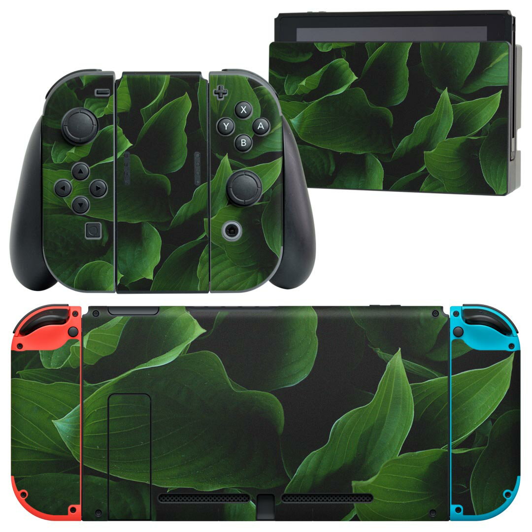 igsticker Nintendo Switch 用 デザインスキンシール 任天堂 ニンテンドー スイッチ 専用 本体ドック Joy-Con Joycon ジョイコン 専用 ゲーム機 カバー アクセサリー フィルム ステッカー 023513 葉っぱ 植物
