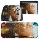 igsticker Nintendo Switch 用 デザインスキンシール 任天堂 ニンテンドー スイッチ 専用 本体ドック Joy-Con Joycon ジョイコン 専用 ゲーム機 カバー アクセサリー フィルム ステッカー 023534 ウエディング　カップル　写真