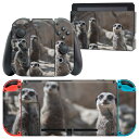 igsticker Nintendo Switch 用 デザインスキンシール 任天堂 ニンテンドー スイッチ 専用 本体ドック Joy-Con Joycon ジョイコン 専用 ゲーム機 カバー アクセサリー フィルム ステッカー 023560 ミーアキャット 動物 写真