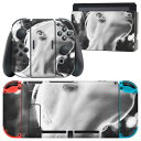 igsticker Nintendo Switch 用 デザインスキンシール 任天堂 ニンテンドー スイッチ 専用 本体ドック Joy-Con Joycon ジョイコン 専用 ゲーム機 カバー アクセサリー フィルム ステッカー 023569 女性 ピアス 写真 モノクロ(2)