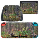 igsticker Nintendo Switch 用 デザインスキンシール 任天堂 ニンテンドー スイッチ 専用 本体ドック Joy-Con Joycon ジョイコン 専用 ゲーム機 カバー アクセサリー フィルム ステッカー 023583 秋 植物 草