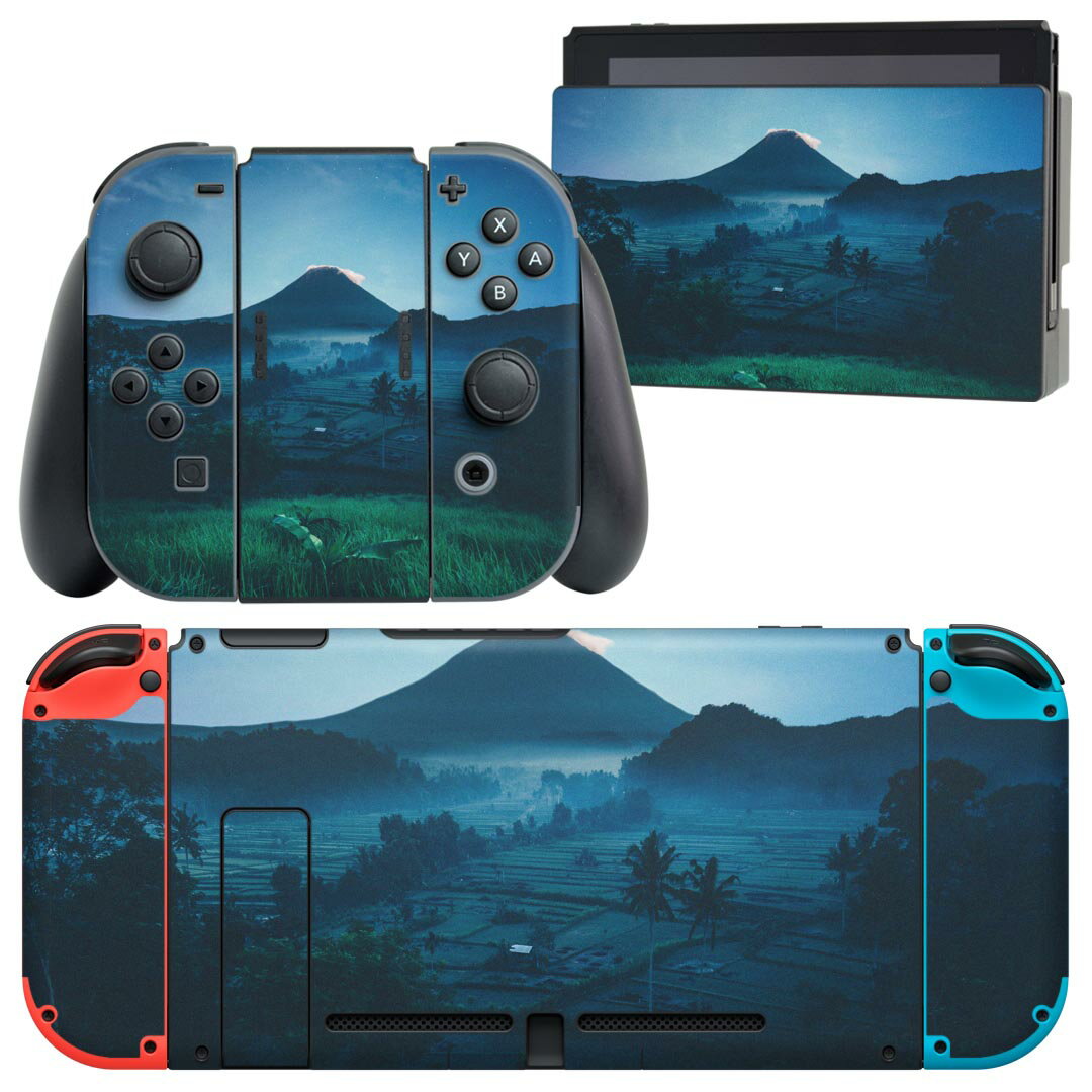 igsticker Nintendo Switch 用 デザインスキンシール 任天堂 ニンテンドー スイッチ 専用 本体ドック Joy-Con Joycon ジョイコン 専用 ..