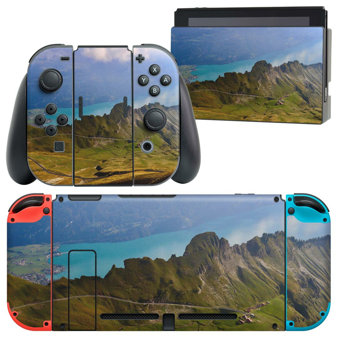 igsticker Nintendo Switch 用 デザインスキンシール 任天堂 ニンテンドー スイッチ 専用 本体ドック Joy-Con Joycon ジョイコン 専用 ゲーム機 カバー アクセサリー フィルム ステッカー 023595 景色　写真　山