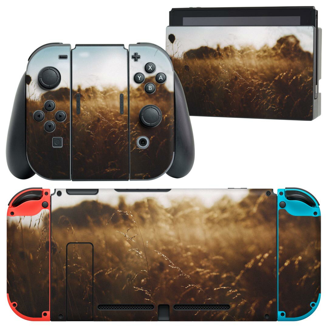 igsticker Nintendo Switch 用 デザインスキンシール 任天堂 ニンテンドー スイッチ 専用 本体ドック Joy-Con Joycon ジョイコン 専用 ゲーム機 カバー アクセサリー フィルム ステッカー 023605 景色　写真　秋