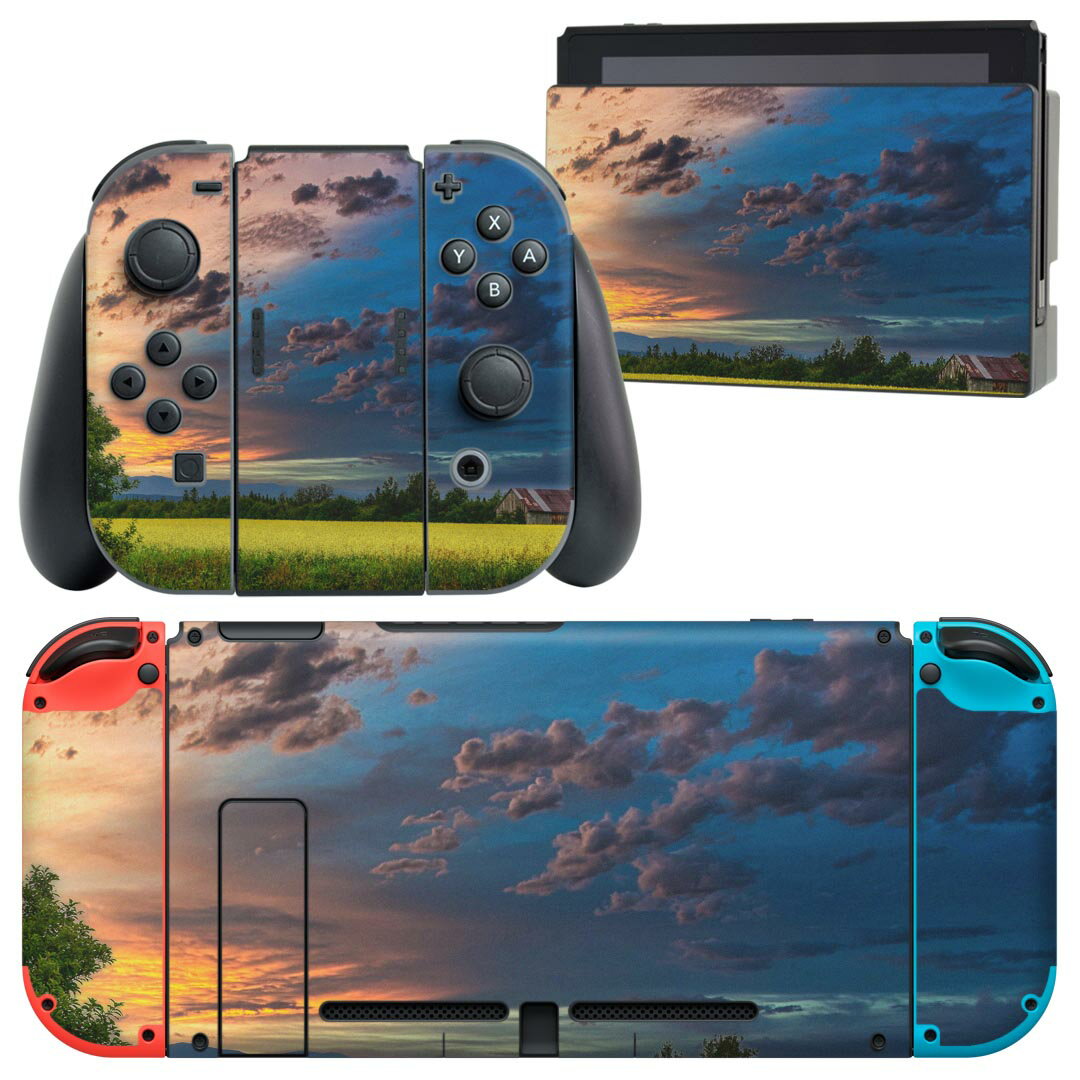 igsticker Nintendo Switch 用 デザインスキンシール 任天堂 ニンテンドー スイッチ 専用 本体ドック Joy-Con Joycon ジョイコン 専用 ゲーム機 カバー アクセサリー フィルム ステッカー 023606 景色 空 自然