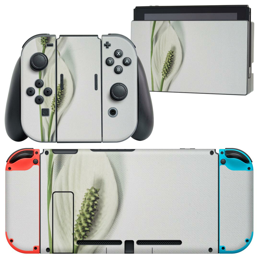 igsticker Nintendo Switch 用 デザインスキンシール 任天堂 ニンテンドー スイッチ 専用 本体ドック Joy-Con Joycon ジョイコン 専用 ゲーム機 カバー アクセサリー フィルム ステッカー 023655 花 フラワー