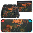 igsticker Nintendo Switch 用 デザインスキンシール 任天堂 ニンテンドー スイッチ 専用 本体ドック Joy-Con Joycon ジョイコン 専用 ゲーム機 カバー アクセサリー フィルム ステッカー 023698 花 フラワー(2)