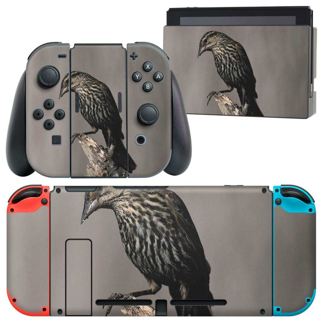 igsticker Nintendo Switch 用 デザインスキンシール 任天堂 ニンテンドー スイッチ 専用 本体ドック Joy-Con Joycon ジョイコン 専用 ゲーム機 カバー アクセサリー フィルム ステッカー 023718 鳥　動物　アニマル