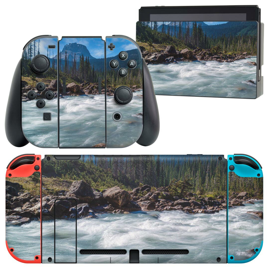 igsticker Nintendo Switch 用 デザインスキンシール 任天堂 ニンテンドー スイッチ 専用 本体ドック Joy-Con Joycon ジョイコン 専用 ゲーム機 カバー アクセサリー フィルム ステッカー 023722 川　自然　写真