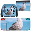 igsticker Nintendo Switch 用 デザインスキンシール 任天堂 ニンテンドー スイッチ 専用 本体ドック Joy-Con Joycon ジョイコン 専用 ゲーム機 カバー アクセサリー フィルム ステッカー 023778 鳥 カモメ 動物(2)
