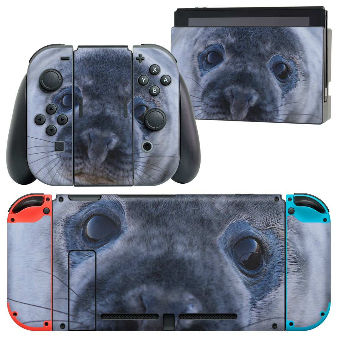 igsticker Nintendo Switch 用 デザインスキンシール 任天堂 ニンテンドー スイッチ 専用 本体ドック Joy-Con Joycon ジョイコン 専用 ゲーム機 カバー アクセサリー フィルム ステッカー 023781 あざらし 動物