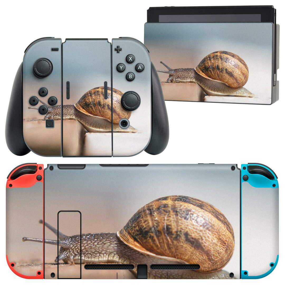 igsticker Nintendo Switch 用 デザインスキンシール 任天堂 ニンテンドー スイッチ 専用 本体ドック Joy-Con Joycon ジョイコン 専用 ゲーム機 カバー アクセサリー フィルム ステッカー 023810 かたつむり　写真