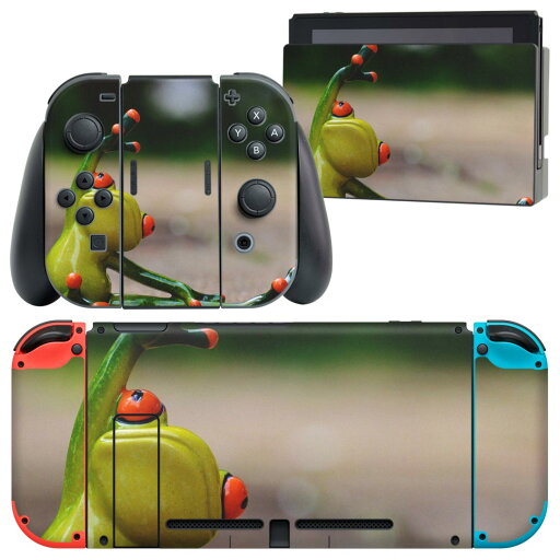 igsticker Nintendo Switch 用 デザインスキンシール 任天堂 ニンテンドー スイッチ 専用 本体ドック Joy-Con Joycon ジョイコン 専用 ゲーム機 カバー アクセサリー フィルム ステッカー 023822 カエル 運動