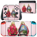 igsticker Nintendo Switch 用 デザインスキンシール 任天堂 ニンテンドー スイッチ 専用 本体ドック Joy-Con Joycon ジョイコン 専用 ゲーム機 カバー アクセサリー フィルム ステッカー 023847 ドラゴンフルーツ 夏 ハワイ
