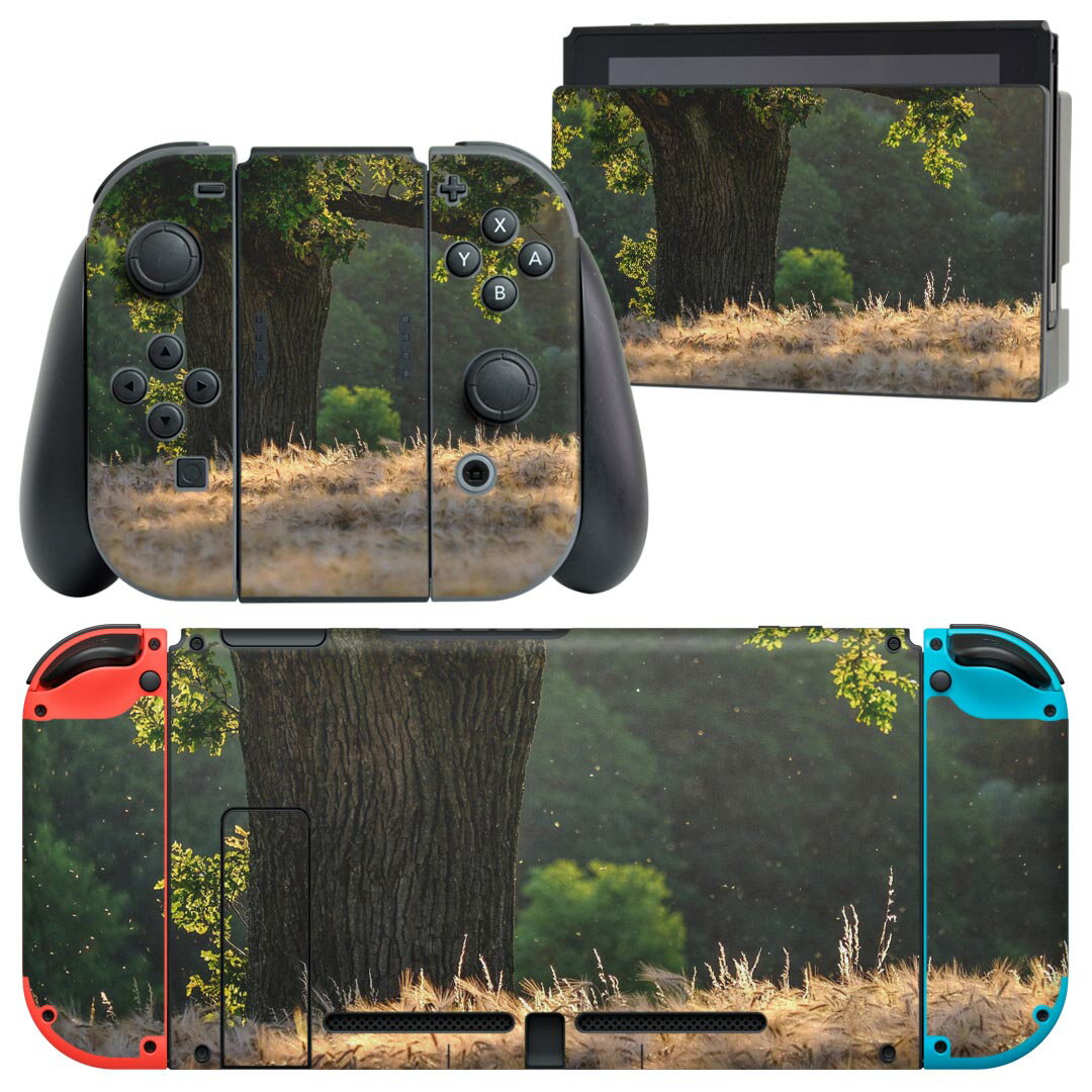 igsticker Nintendo Switch 用 デザインスキンシール 任天堂 ニンテンドー スイッチ 専用 本体ドック Joy-Con Joycon ジョイコン 専用 ゲーム機 カバー アクセサリー フィルム ステッカー 023907 自然　写真　景色