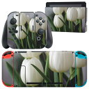 igsticker Nintendo Switch 用 デザインスキンシール 任天堂 ニンテンドー スイッチ 専用 本体ドック Joy-Con Joycon ジョイコン 専用 ゲーム機 カバー アクセサリー フィルム ステッカー 023916 花 フラワー チューリップ