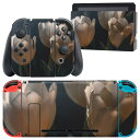 igsticker Nintendo Switch 用 デザインスキンシール 任天堂 ニンテンドー スイッチ 専用 本体ドック Joy-Con Joycon ジョイコン 専用 ゲーム機 カバー アクセサリー フィルム ステッカー 023919 花 フラワー チューリップ(2)