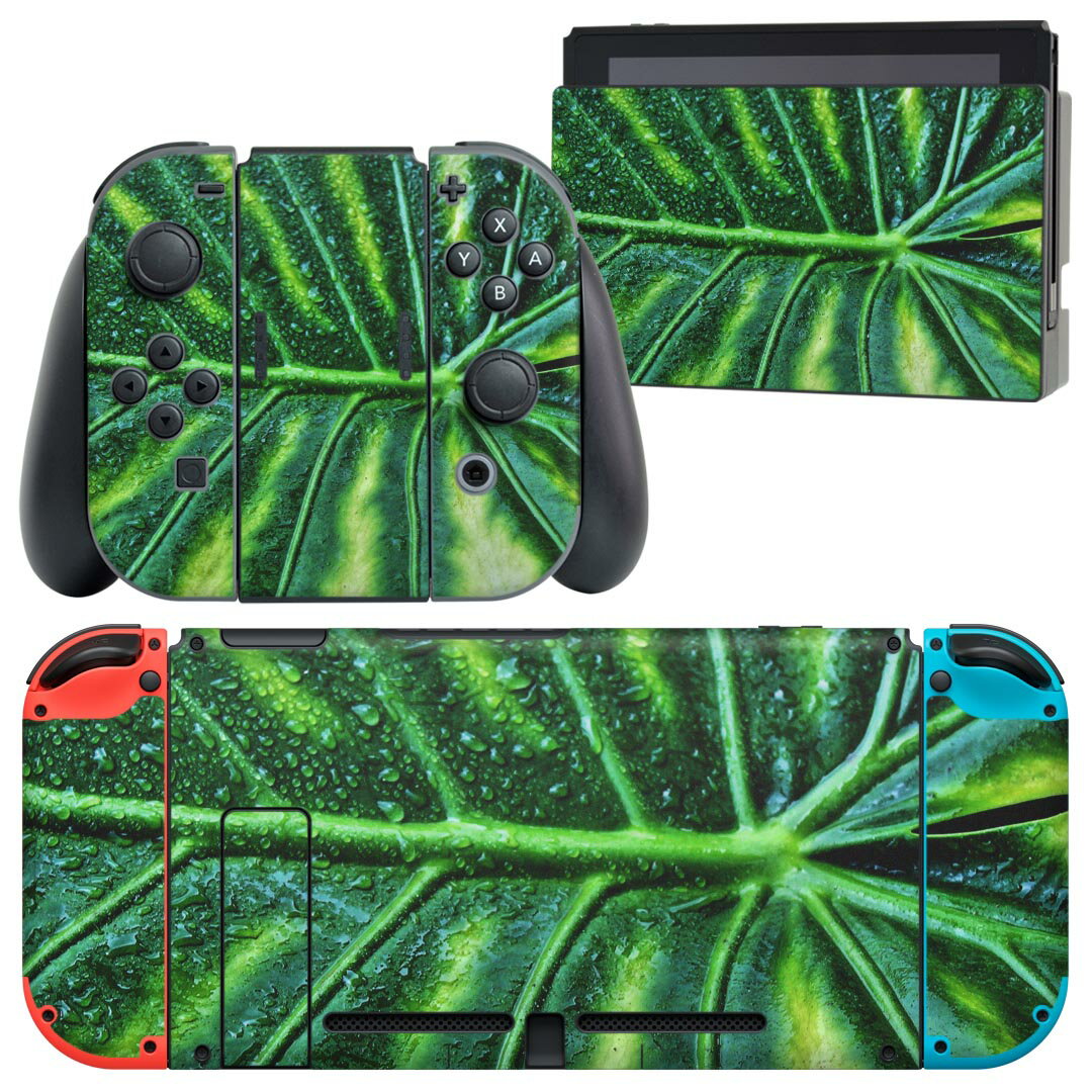 igsticker Nintendo Switch 用 デザインスキンシール 任天堂 ニンテンドー スイッチ 専用 本体ドック Joy-Con Joycon ジョイコン 専用 ゲーム機 カバー アクセサリー フィルム ステッカー 023931 モンステラ　葉っぱ