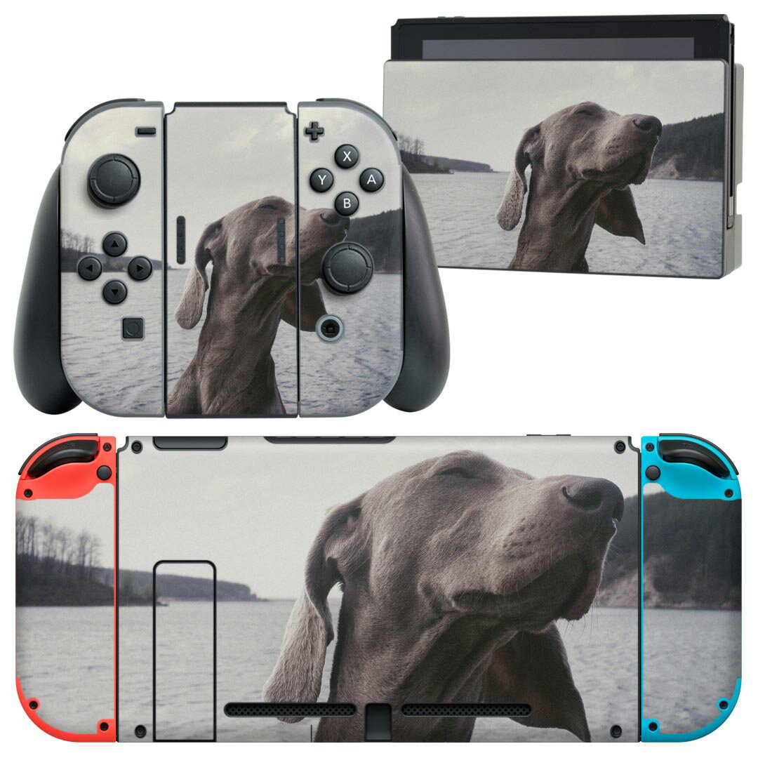 igsticker Nintendo Switch 用 デザインスキンシール 任天堂 ニンテンドー スイッチ 専用 本体ドック Joy-Con Joycon ジョイコン 専用 ゲーム機 カバー アクセサリー フィルム ステッカー 023964 犬 動物 写真