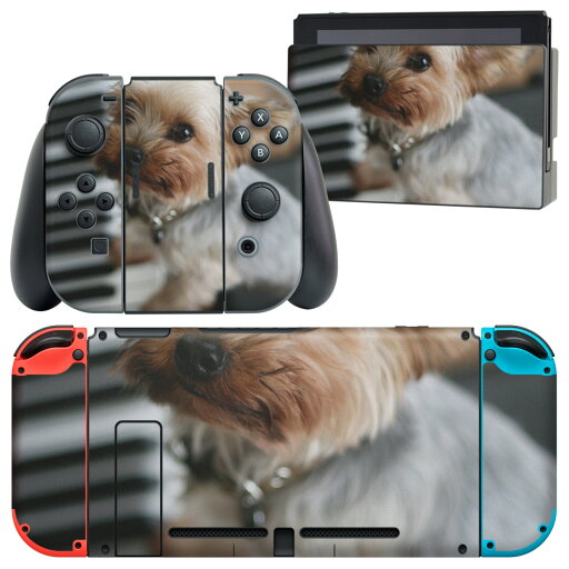 igsticker Nintendo Switch 用 デザインスキンシール 任天堂 ニンテンドー スイッチ 専用 本体ドック Joy-Con Joycon ジョイコン 専用 ゲーム機 カバー アクセサリー フィルム ステッカー 004565 犬 写真 ピアノ igsticker Nintendo Switch 用 デザインスキンシール 任天堂 ニンテンドー スイッチ 専用 本体ドック Joy-Con Joycon ジョイコン 専用 ゲーム機 カバー アクセサリー フィルム ステッカー 004565 犬 写真 ピアノ