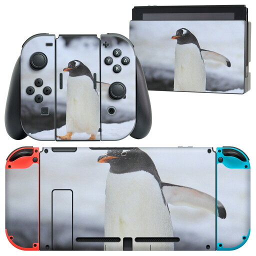 igsticker Nintendo Switch 用 デザインスキンシール 任天堂 ニンテンドー スイッチ 専用 本体ドック Joy-Con Joycon ジョイコン 専用 ゲーム機 カバー アクセサリー フィルム ステッカー 004679 動物 ペンギン 写真 igsticker Nintendo Switch 用 デザインスキンシール 任天堂 ニンテンドー スイッチ 専用 本体ドック Joy-Con Joycon ジョイコン 専用 ゲーム機 カバー アクセサリー フィルム ステッカー 004679 動物 ペンギン 写真