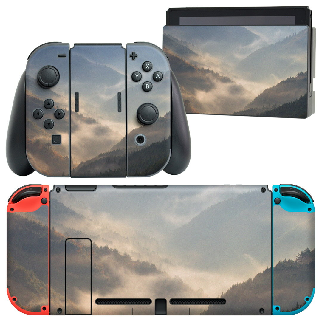 igsticker Nintendo Switch 用 デザインスキンシール 任天堂 ニンテンドー スイッチ 専用 本体ドック Joy-Con Joycon ジョイコン 専用 ゲーム機 カバー アクセサリー フィルム ステッカー 004702 景色　風景　写真