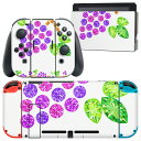 igsticker Nintendo Switch 用 デザインスキンシール 任天堂 ニンテンドー スイッチ 専用 本体ドック Joy-Con Joycon ジョイコン 専用 ゲーム機 カバー アクセサリー フィルム ステッカー 005197 ぶどう 宝石 イラスト