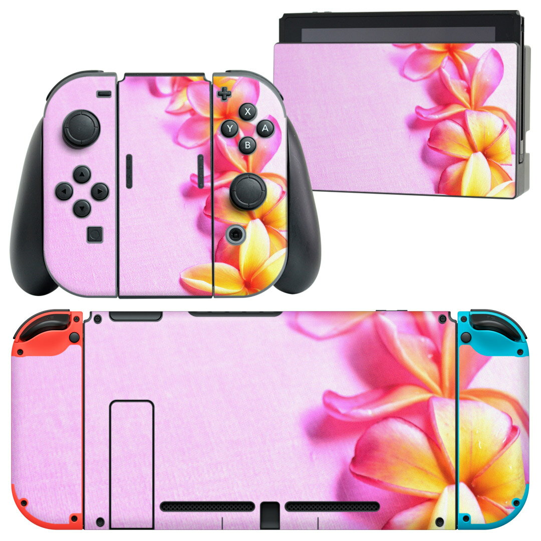 igsticker Nintendo Switch 用 デザインスキンシール 任天堂 ニンテンドー スイッチ 専用 本体ドック Joy-Con Joycon ジョイコン 専用 ゲーム機 カバー アクセサリー フィルム ステッカー 005418 写真　花　　夏