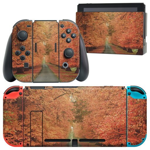 igsticker Nintendo Switch 用 デザインスキンシール 任天堂 ニンテンドー スイッチ 専用 本体ドック Joy-Con Joycon ジョイコン 専用 ゲーム機 カバー アクセサリー フィルム ステッカー 005919 写真 秋 並木道 igsticker Nintendo Switch 用 デザインスキンシール 任天堂 ニンテンドー スイッチ 専用 本体ドック Joy-Con Joycon ジョイコン 専用 ゲーム機 カバー アクセサリー フィルム ステッカー 005919 写真 秋 並木道