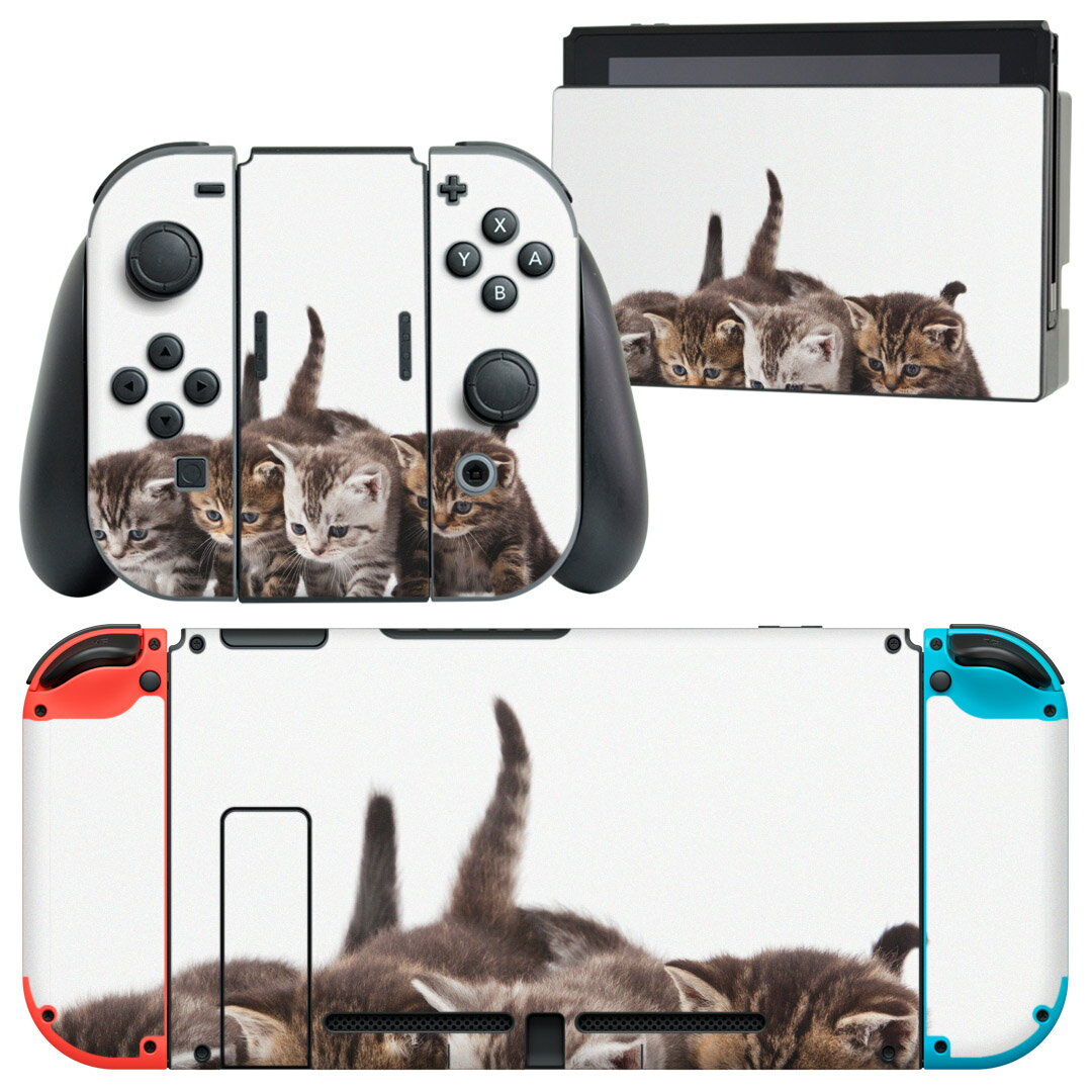 igsticker Nintendo Switch 用 デザインスキンシール 任天堂 ニンテンドー スイッチ 専用 本体ドック Joy-Con Joycon ジョイコン 専用 ゲーム機 カバー アクセサリー フィルム ステッカー 005928 アニマル 写真 動物 猫 ねこ