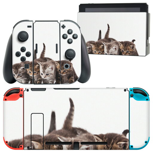 igsticker Nintendo Switch 用 デザインスキンシール 任天堂 ニンテンドー スイッチ 専用 本体ドック Joy-Con Joycon ジョイコン 専用 ゲーム機 カバー アクセサリー フィルム ステッカー 005928 アニマル 写真 動物 猫 ねこ