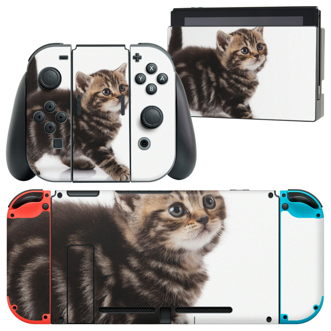 igsticker Nintendo Switch 用 デザインスキンシール 任天堂 ニンテンドー スイッチ 専用 本体ドック Joy-Con Joycon ジョイコン 専用 ゲーム機 カバー アクセサリー フィルム ステッカー 005930 アニマル 写真 動物 猫 ねこ