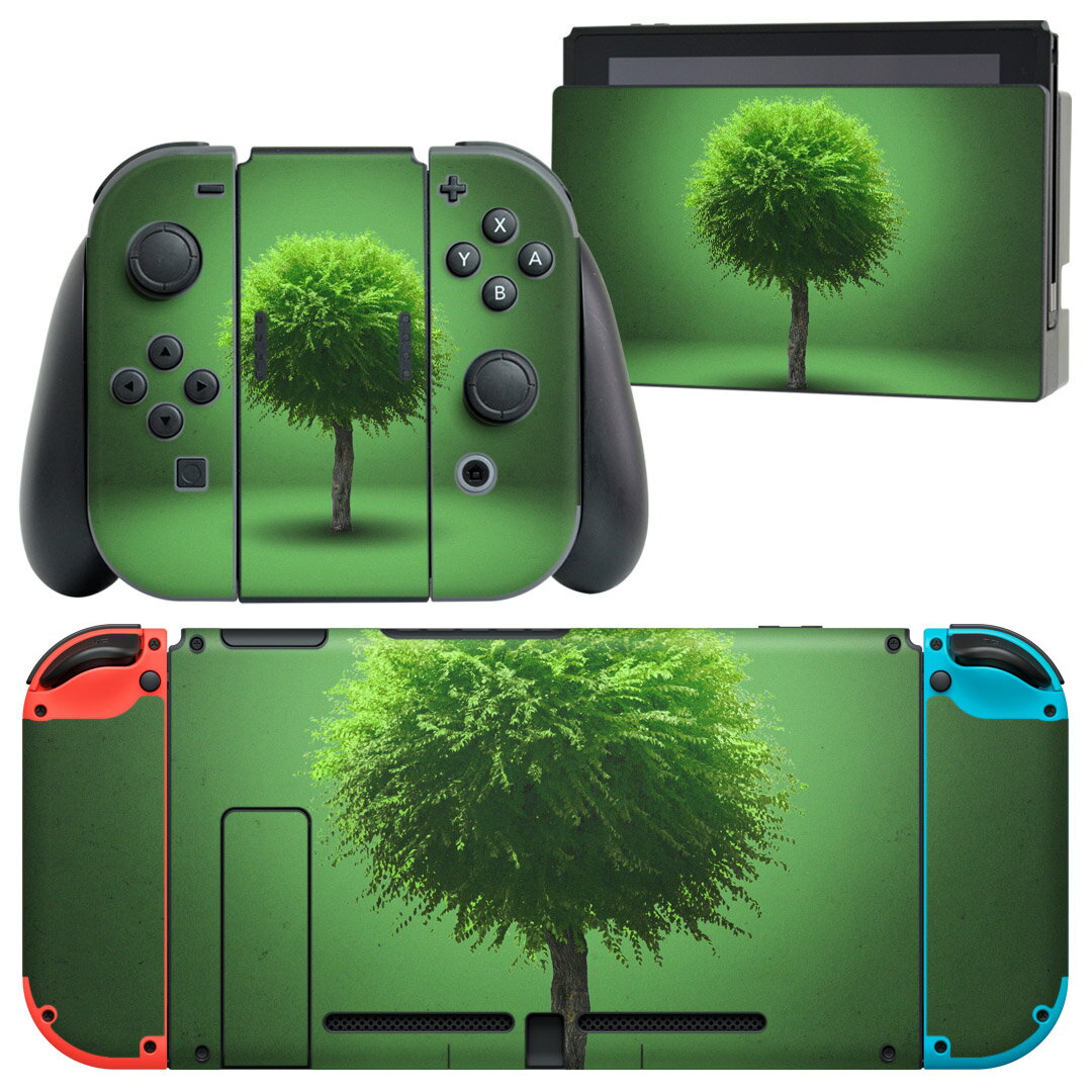 switch_006285.jpg