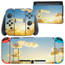 igsticker Nintendo Switch 用 デザインスキンシール 任天堂 ニンテンドー スイッチ 専用 本体ドック Joy-Con Joycon ジョイコン 専用 ゲーム機 カバー アクセサリー フィルム ステッカー 006326 写真 海 空 夕日(2)