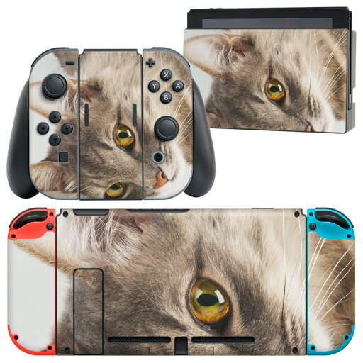 igsticker Nintendo Switch 用 デザインスキンシール 任天堂 ニンテンドー スイッチ 専用 本体ドック Joy-Con Joycon ジョイコン 専用 ゲーム機 カバー アクセサリー フィルム ステッカー 006477 アニマル 写真 動物 ねこ igsticker Nintendo Switch 用 デザインスキンシール 任天堂 ニンテンドー スイッチ 専用 本体ドック Joy-Con Joycon ジョイコン 専用 ゲーム機 カバー アクセサリー フィルム ステッカー 006477 アニマル 写真 動物 ねこ