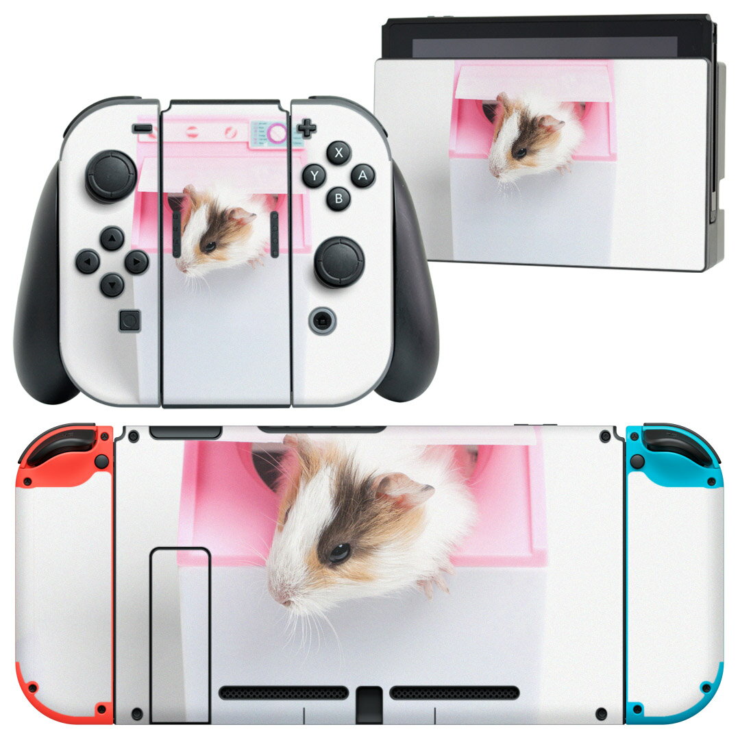 igsticker Nintendo Switch 用 デザインスキンシール 任天堂 ニンテンドー スイッチ 専用 本体ドック Joy-Con Joycon ジョイコン 専用 ゲーム機 カバー アクセサリー フィルム ステッカー 006501 アニマル 写真 ハムスター 動物